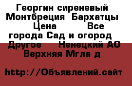 Георгин сиреневый. Монтбреция. Бархатцы.  › Цена ­ 100 - Все города Сад и огород » Другое   . Ненецкий АО,Верхняя Мгла д.